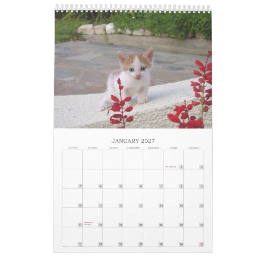 Calendrier Mural Chats grecs (Jan 2027)