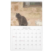 Calendrier Mural Chats grecs (Mar 2026)