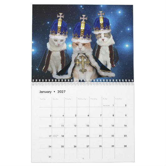 Calendrier Mural Chats/minous drôles (Jan 2027)