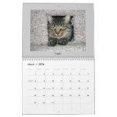 Calendrier Mural Chats Tabby (Mar 2026)