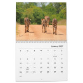 Calendrier mural Cheetahs (Jan 2027)