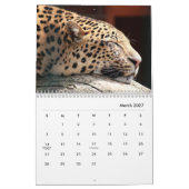 Calendrier mural Cheetahs (Mar 2027)