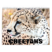 Calendrier mural Cheetahs (Protection)