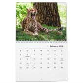 Calendrier mural Cheetahs (Feb 2026)