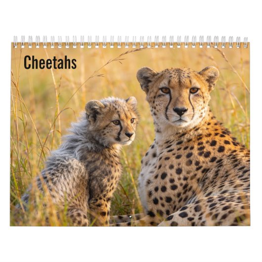 Calendrier mural Cheetahs 2027 (Protection)