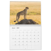 Calendrier mural Cheetahs 2027 (Mar 2027)