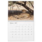 Calendrier mural Cheetahs 2027 (Feb 2027)