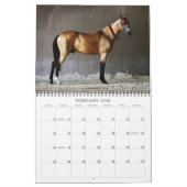 Calendrier Mural Cheval d'Akhal-Teke (Feb 2026)