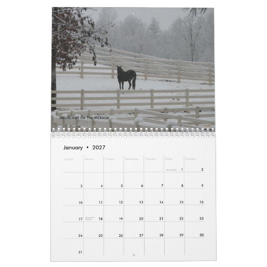 Calendrier Mural Chevaux 2012 de montagne (Jan 2027)