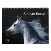 Calendrier Mural Chevaux Arabes (Protection)