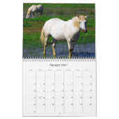 CALENDRIER MURAL CHEVAUX BLANCS (Jan 2027)