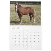 Calendrier Mural Chevaux de trait 2016 (Mar 2027)