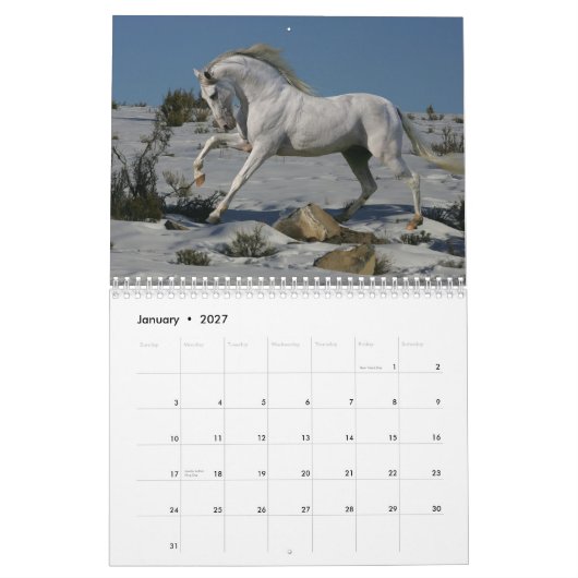 Calendrier Mural Chevaux d'imaginaire (Jan 2027)