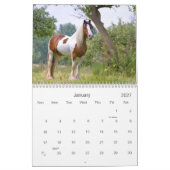 Calendrier Mural Chevaux gitans en Allemagne 2016 (Jan 2027)