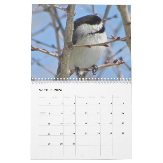 Calendrier Mural Chickadee (Mar 2026)