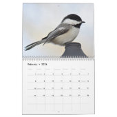 Calendrier Mural Chickadee (Feb 2026)