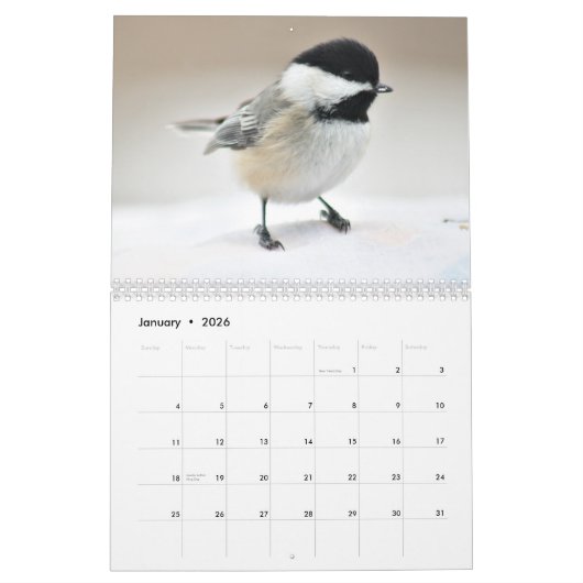 Calendrier Mural Chickadee (Jan 2026)