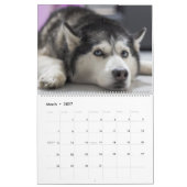 Calendrier mural Chien Huskies 2027 (Mar 2027)