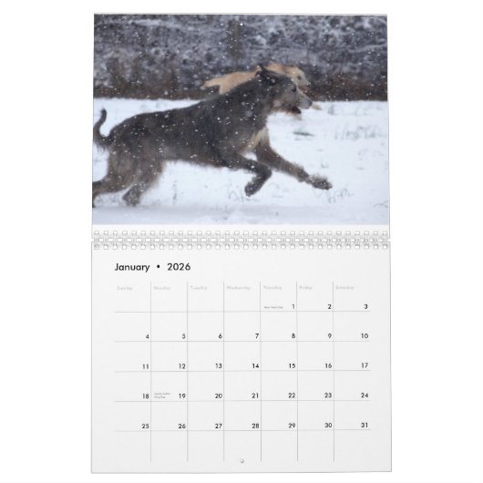 Calendrier Mural Chien-loup irlandais 2012 (Jan 2026)