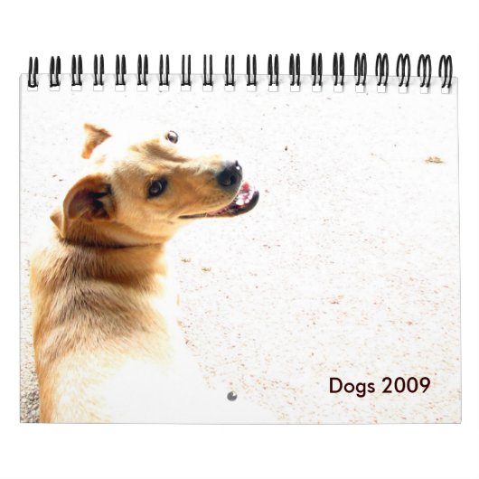 Calendrier Mural Chiens 2009 (Protection)