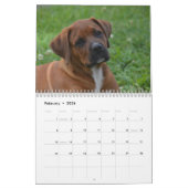 Calendrier Mural Chiens 2018 de boxeurs (Feb 2026)