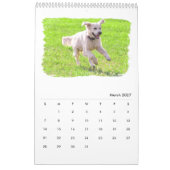Calendrier Mural Chiens d'arrêt d'or (Mar 2027)