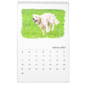 Calendrier Mural Chiens d'arrêt d'or (Feb 2027)