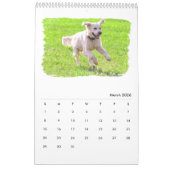 Calendrier Mural Chiens d'arrêt d'or (Mar 2026)
