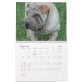 Calendrier Mural Chinois Shar Pei 15 mois (Feb 2027)