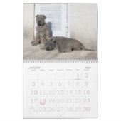 Calendrier Mural Chinois Shar Pei 15 mois (Jan 2027)