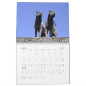 Calendrier Mural Chinois Shar Pei 15 mois (Mar 2027)