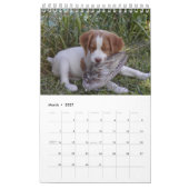 Calendrier Mural Chiots 2008 de la Bretagne (Mar 2027)