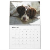 Calendrier Mural Chiots 2010 de la Bretagne (Mar 2027)