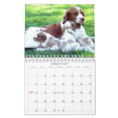 Calendrier Mural Chiots 2011 de la Bretagne (Mar 2027)