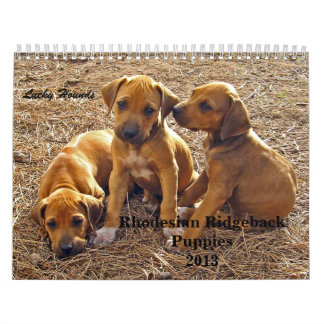 Calendrier Mural Chiots 2013 de Rhodesian Ridgeback
