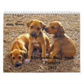 Calendrier Mural Chiots 2013 de Rhodesian Ridgeback (Protection)