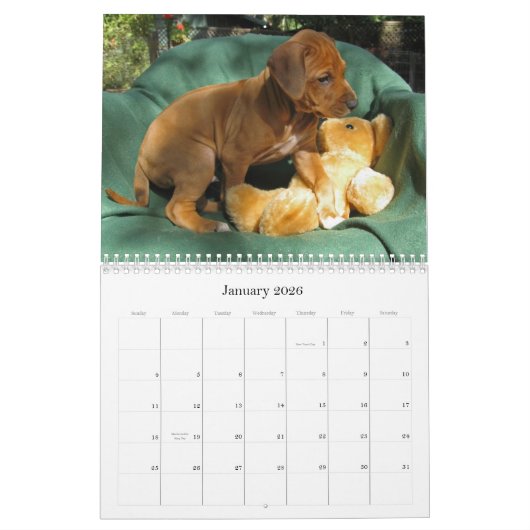 Calendrier Mural Chiots 2013 de Rhodesian Ridgeback (Jan 2026)