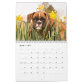 Calendrier Mural Chiots 2017 de boxeur (Mar 2027)