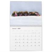 Calendrier Mural Chiots 2017 de boxeur (Jan 2027)