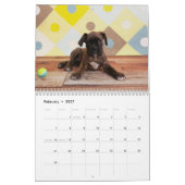 Calendrier Mural Chiots 2017 de boxeur (Feb 2027)