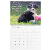 Calendrier Mural Chiots australiens de berger (Mar 2026)
