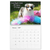 Calendrier Mural Chiots australiens de berger (Feb 2027)