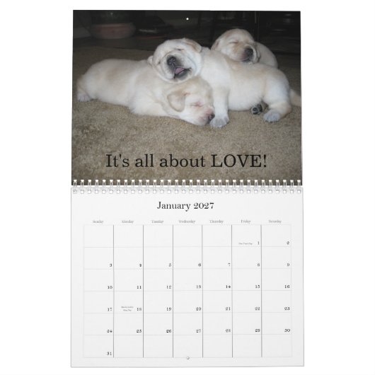 Calendrier Mural Chiots de laboratoire ! (Jan 2027)