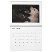 Calendrier Mural Chiots de soie 2013 de Windhound (Mar 2026)