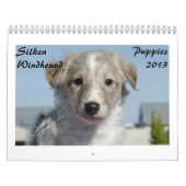 Calendrier Mural Chiots de soie 2013 de Windhound (Protection)