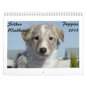 Calendrier Mural Chiots de soie 2013 de Windhound