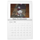 Calendrier Mural Chiots maltais (Jan 2026)