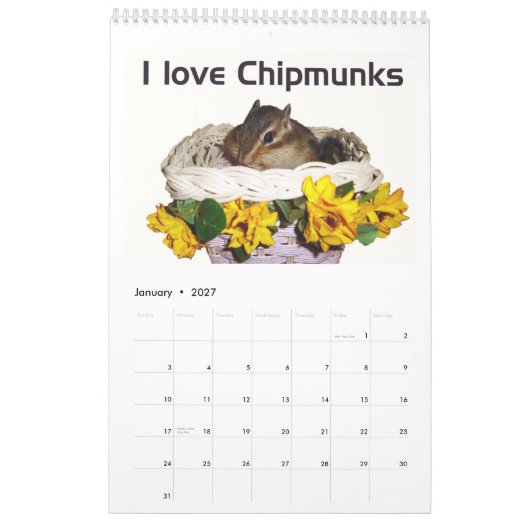 Calendrier Mural chipmunk (All countries) (Jan 2027)