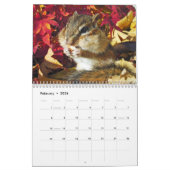 Calendrier Mural chipmunk,Squirrel,photo,calendar (Feb 2026)