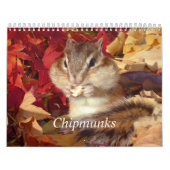 Calendrier Mural chipmunk,Squirrel,photo,calendar (Protection)